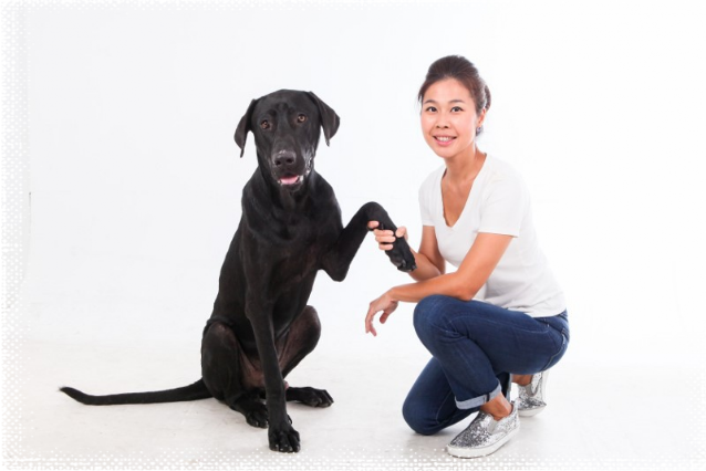 Mary Christine Choi, Adopt a Doggie Founder